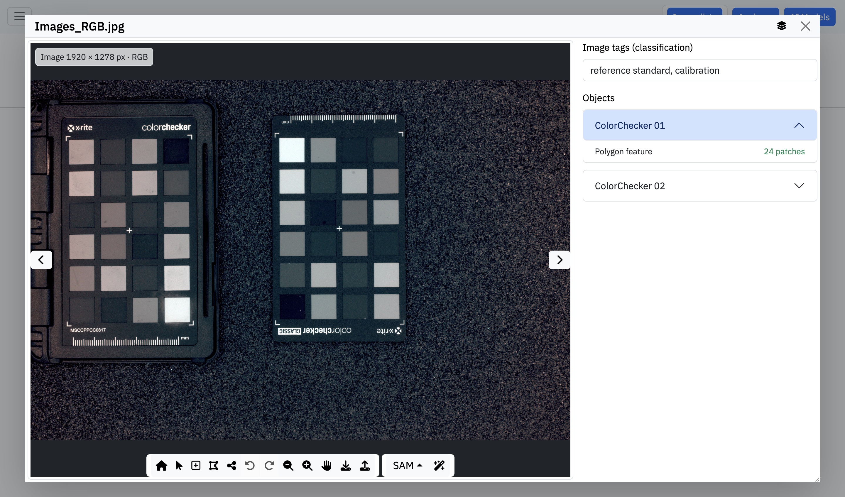 The actual Argiope interface showing a ColorChecker image, annotation tools, SAM model selection, tags, and an object list.